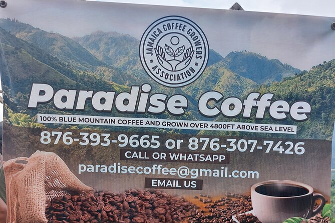 Jamaica Blue Mountain Coffee Tour and sightseeing experience - Two Hours in Blue Mountain National Park