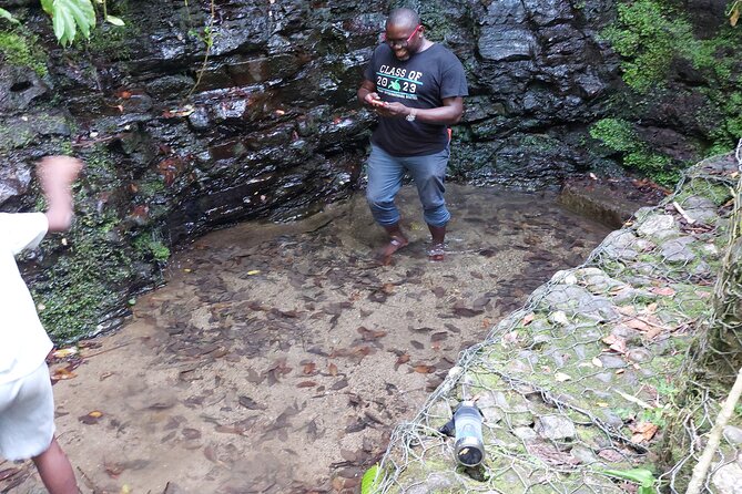 Jamaica Blue Mountain Coffee Tour and sightseeing experience - The Coffee Tasting: What You Actually Get