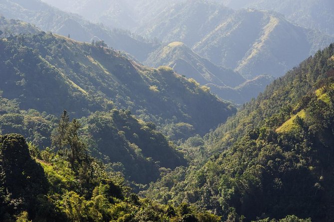 Jamaica Blue Mountain Guided Nature Tour - Six things to know before you book