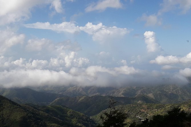 Jamaica Blue Mountain Guided Nature Tour - The first lookout puts Kingston in context