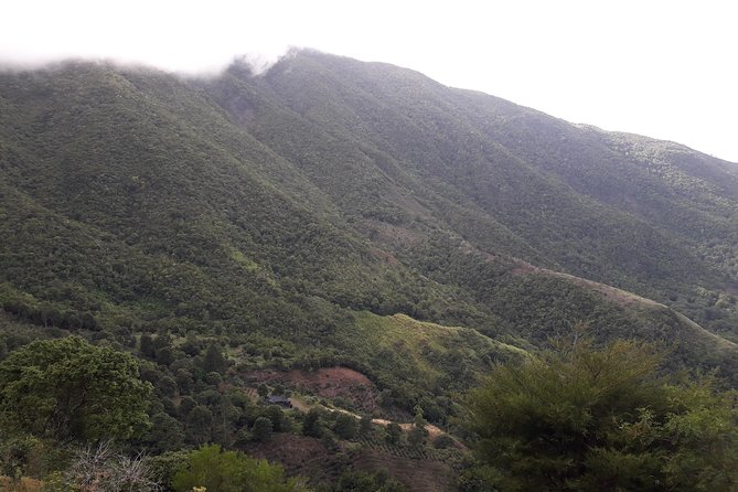 Jamaica Blue Mountain Guided Nature Tour - New Castle brings history to the roadside