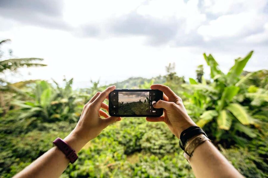 Jamaica: Blue Mountains Full Day Tour with Brunch & Lunch - Rainforest roads and mountain views