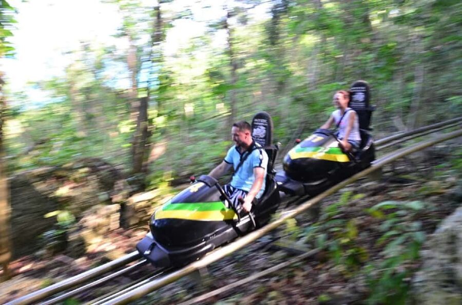 Jamaica: Bobsled and Dunn's River Falls Adventure Tour - Riding Sky Explorer above the trees