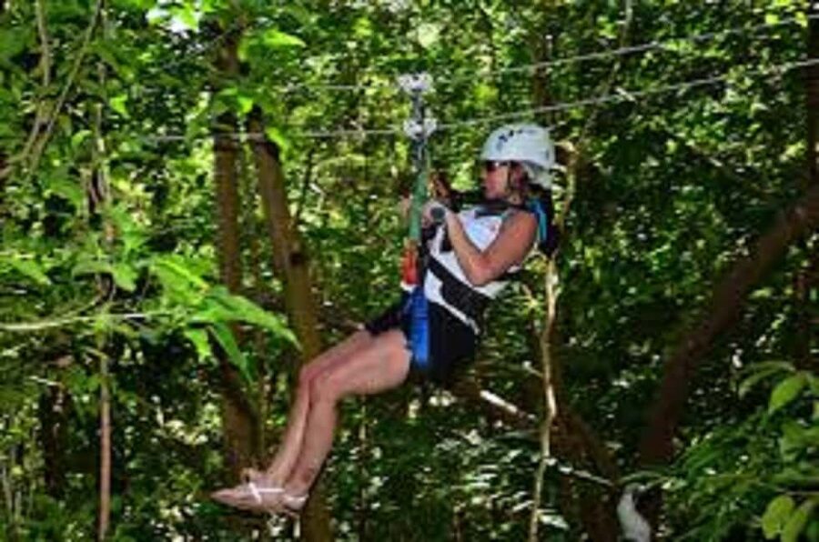 Jamaica Bobsled and Zip Line Adventure Tour - A mountain adventure with two very different moods
