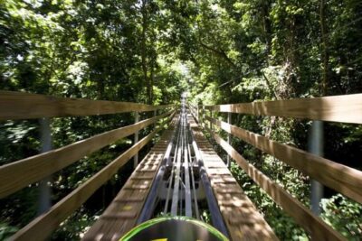 Jamaica Bobsled and Zip Line Adventure Tour
