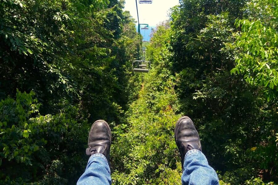 Jamaica Bobsled & Zipline (Mystic Gold) from Montego Bay - The rainforest zipline adds a second kind of thrill