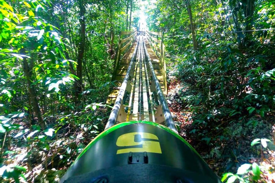Jamaica Bobsled & Zipline (Mystic Gold) from Montego Bay - The Sky Explorer ride sets up the bobsled run
