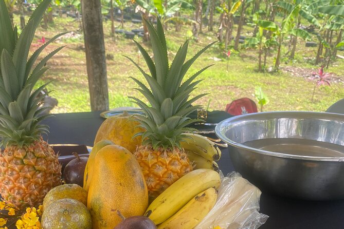 Jamaica Farm Private Dispensary Tour Montego Bay - Farm-table lunch and fresh island flavors