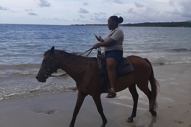 Jamaica Horse Ride Tour with Lunch and Shopping - Scotchies Drax Hall and a proper Jamaican lunch