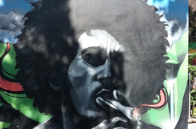 Jamaica Roots, Reggae and Culture a Musical Experience - Is $210 per person good value?
