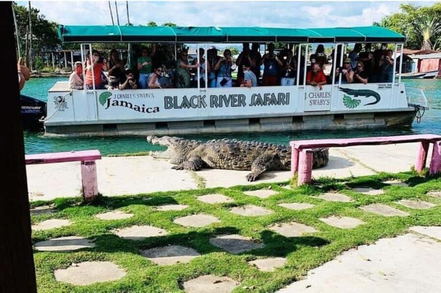 Jamaica: YS Falls and Black River Safari Tour - Lunch on Jamaica’s south coast