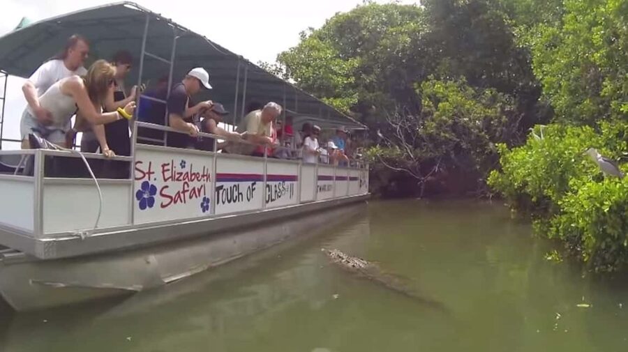 Jamaica: YS Falls and Black River Safari Tour - The long road back to Montego Bay
