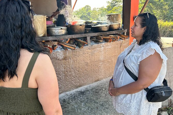 Jamaican Countryside Food Tasting Tour from Montego Bay - Private transport and the pace of the outing
