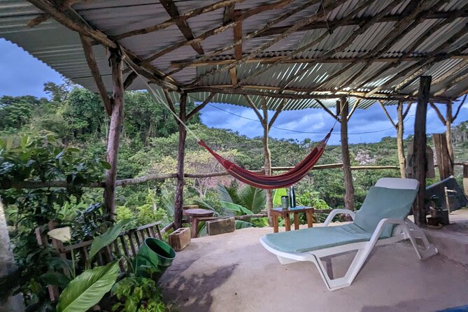 Jamaican Roots Tropical Farm Tour - Taste & Explore (Negril) 2hr - Adding a farm-to-table Jamaican meal