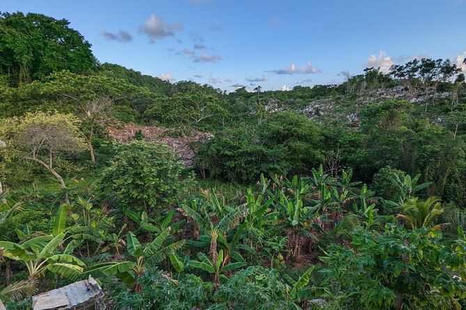 Jamaican Roots Tropical Farm Tour - Taste & Explore (Negril) 2hr - Pickup, timing, and group size