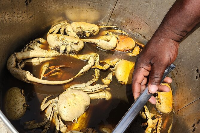 Jamaican Street Food and Rum Tasting Private Tour - Fruit stops are useful, but not guaranteed