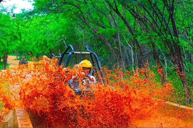 Jamwest ATV Off-Road Adventure & Zipline Combo in Negril - From four wheels to the zipline course