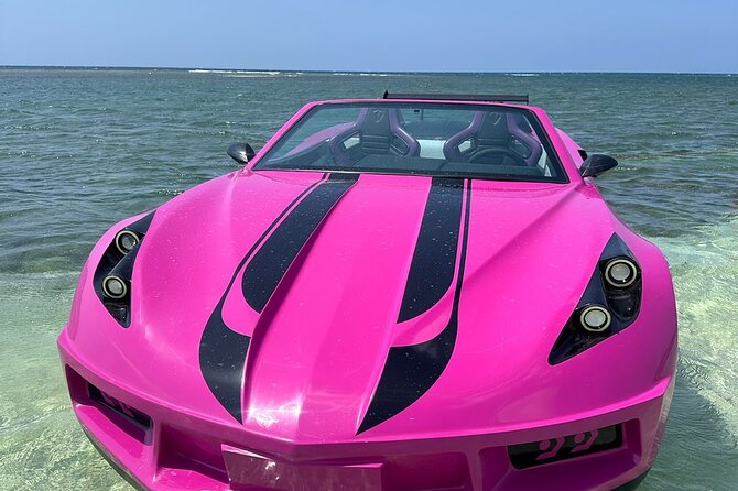 Jet Cars in Montego Bay and Private Transportation - Scenic pauses, photos, and possible marine life