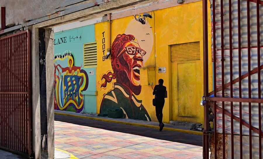 Kingston Creative: Mural Art Walking Tour - Who will enjoy this walking tour?