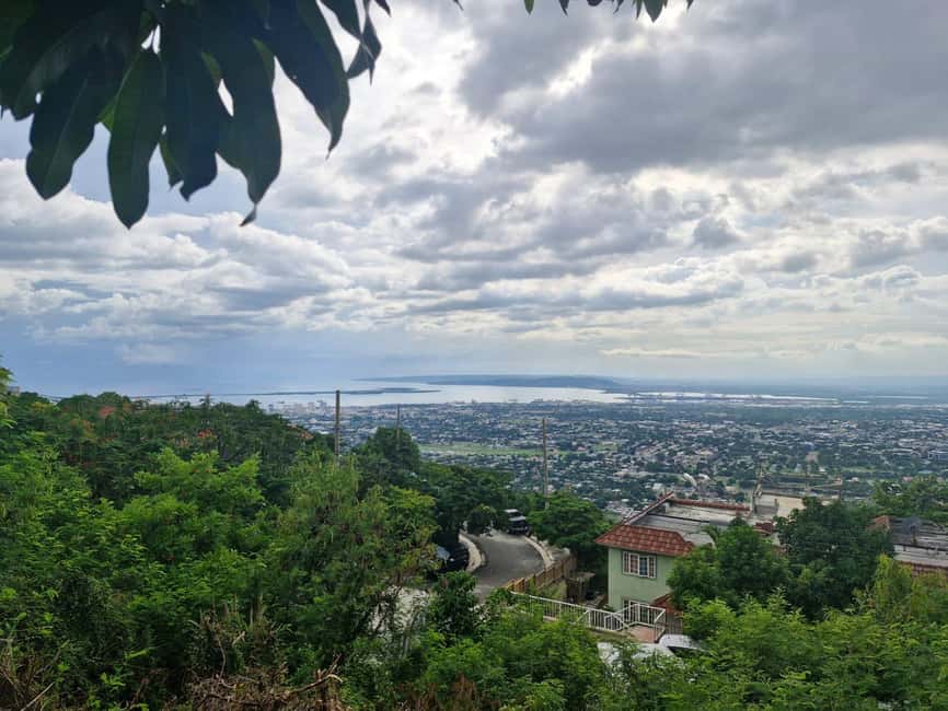 Kingston like a local – the authentic city tour - What this Kingston tour is really offering