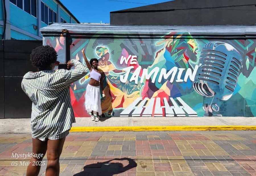 Kingston: Rhythmic Walking Music Tour - An hour in Kingston’s Art District