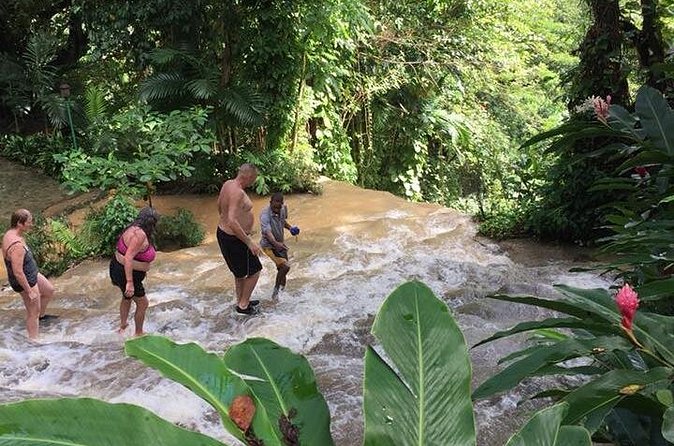 Konoko Falls and Tropical Garden Tour from Ocho Rios - Transport from Runaway Bay and Ocho Rios