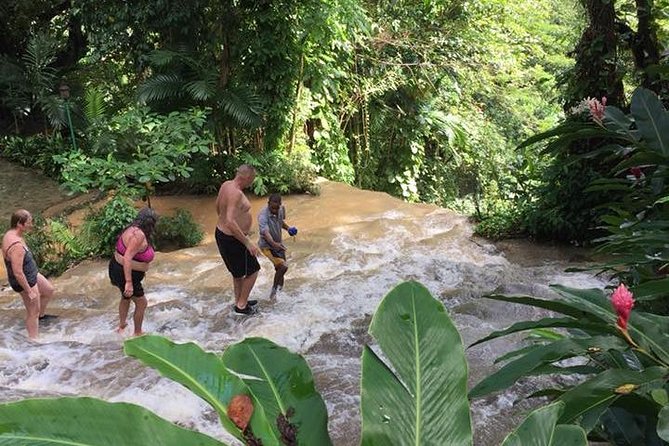 Konoko Falls and Tropical Garden Tour from Ocho Rios - Is $96.16 good value?