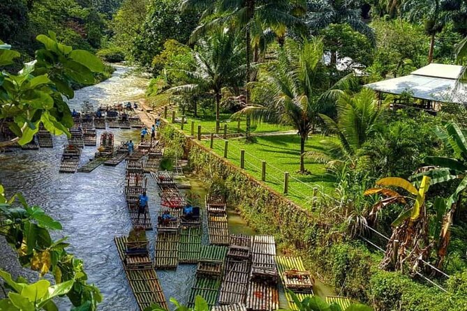 Lethe Bamboo River Rafting Tour - Jamaica's Vibest River - What $46.20 buys you