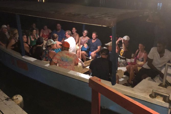 Luminous Lagoon After Dark Tour - Tips that make the evening easier