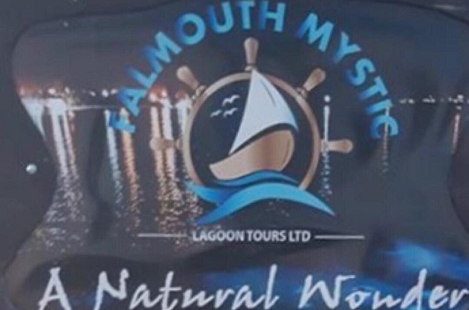 Luminous Lagoon and Glistening Water Tour from Montego Bay - Is $76.93 a fair price?