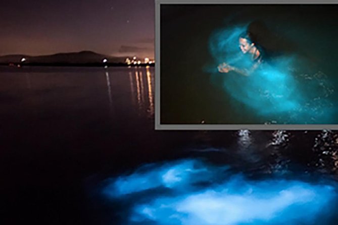 Luminous Lagoon and Glistening Water Tour from Montego Bay - The best fit for families and small groups