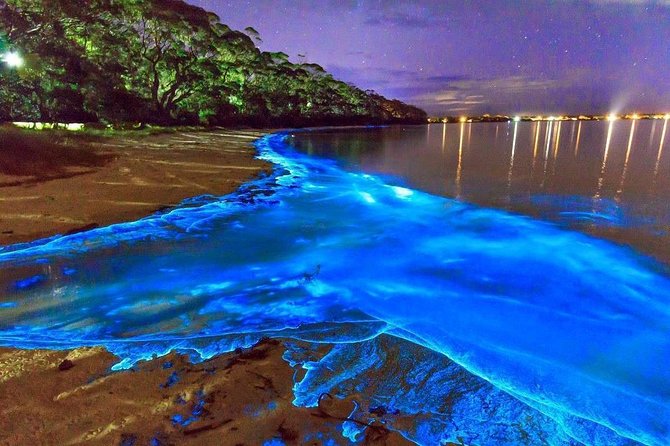 Luminous Lagoon and Rose Hall Great House Night Tour - Key points to know before booking