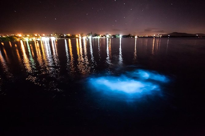 Luminous Lagoon Experience - Waiting at the Dock With Music