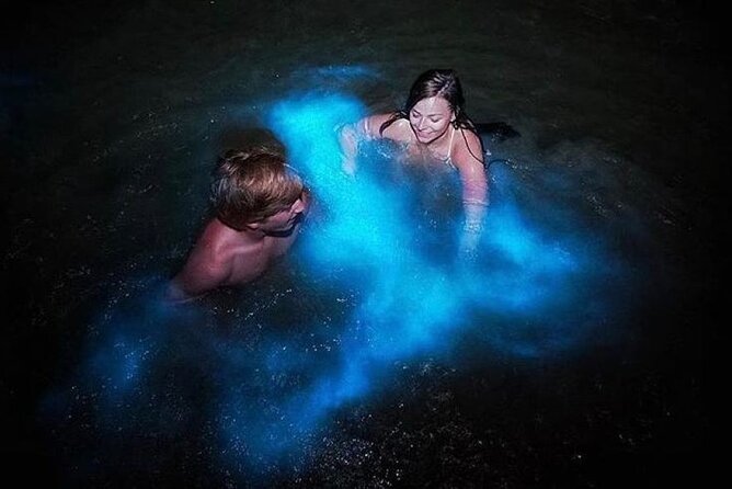 Luminous Lagoon "Glistening Waters" Tour from Grand Palladium Resorts - What the glass-bottom boat adds