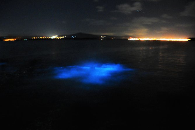 Luminous Lagoon "Glistening Waters" Tour from Grand Palladium Resorts - Why the glow may disappoint you