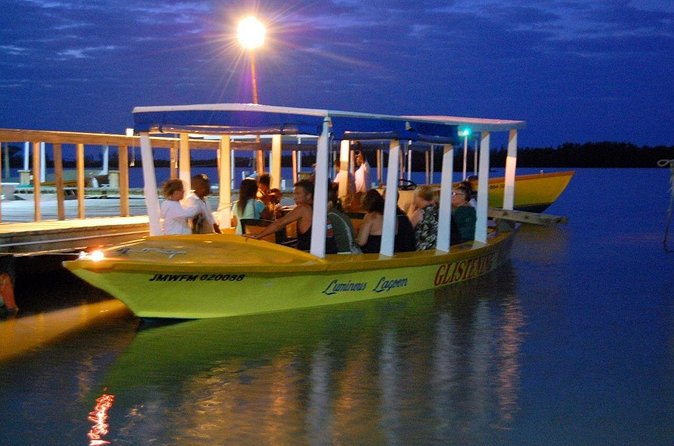 Luminous Lagoon Glow in the Dark Boat Tour from Montego Bay - Swimming in the blue-green glow
