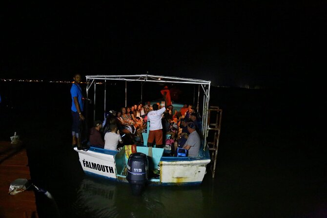 Luminous Lagoon Guided Tour In Montego Bay - Swimming in the luminous water