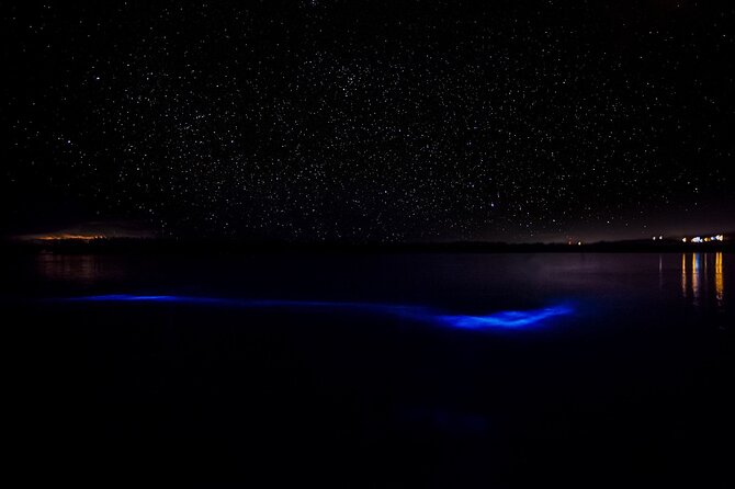 Luminous Lagoon Guided Tour In Montego Bay - The journey from Montego Bay to Falmouth