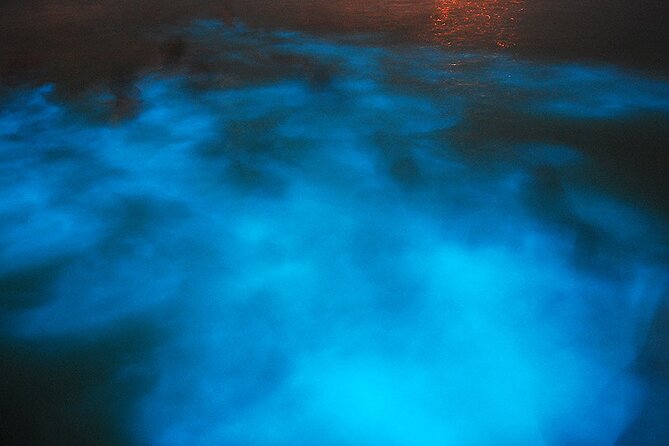 Luminous Lagoon Night Cruise From Montego Bay - Leaving Montego Bay at 7:00 pm