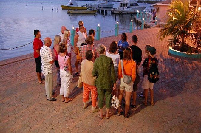 Luminous Lagoon Night Cruise From Montego Bay - Safety, weather, and cancellation details