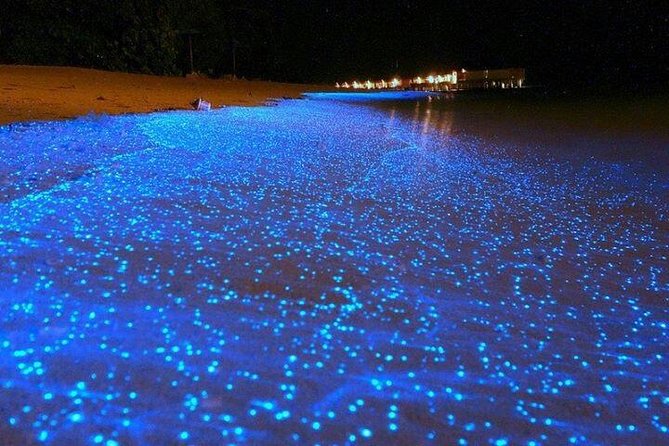 Luminous Lagoon Night-Time Tour from Montego Bay - Why the Luminous Lagoon is worth an evening