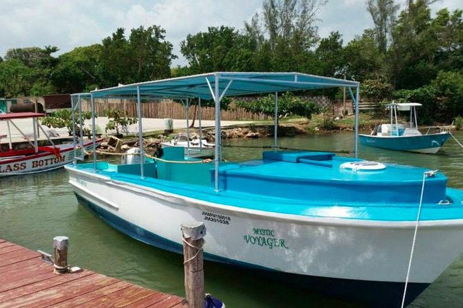 Luminous Lagoon Night-Time Tour from Montego Bay - Forty-five minutes in glowing water