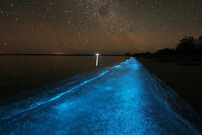 Luminous Lagoon Night-Time Tour from Montego Bay - Fire limbo, rum punch, and Jamaican treats