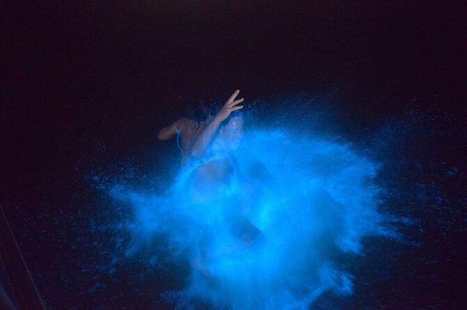 Luminous Lagoon Night Tour - Why the Luminous Lagoon Is Worth Seeing at Night