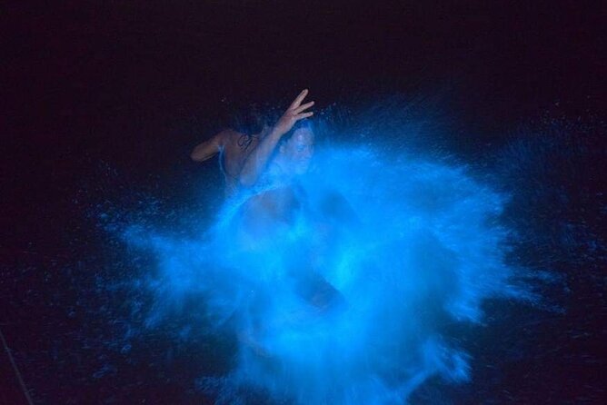 Luminous Lagoon Night Tour - A Private Tour With Practical Support