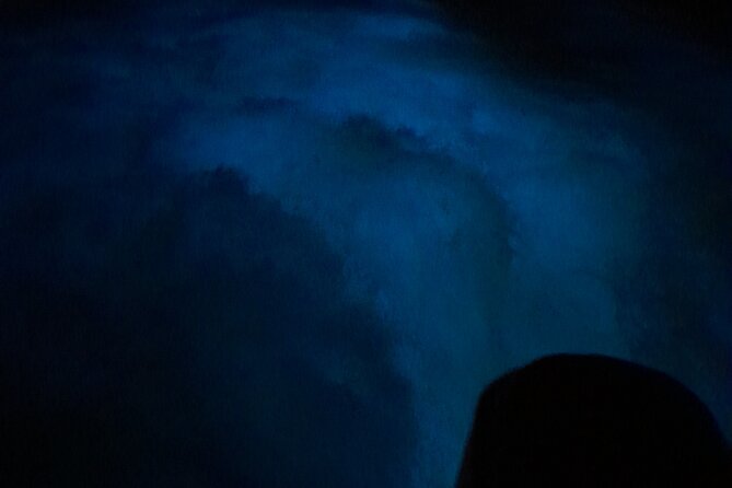 Luminous Lagoon Night Tour and Swim/Fire Dance from Montego Bay - Swimming in the lagoon after dark