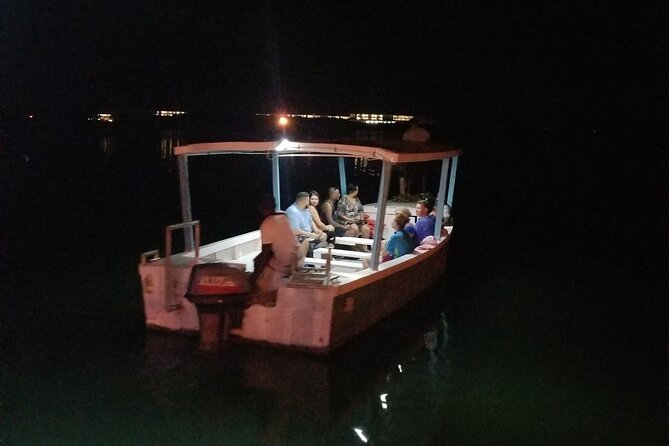 Luminous Lagoon Night Tour from Montego Bay - The boat ride into the glowing water