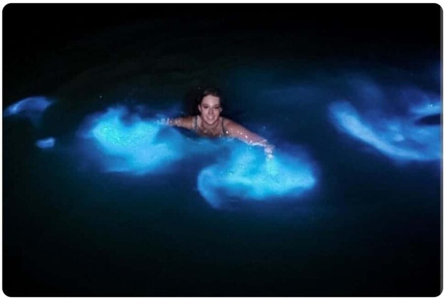 Luminous lagoon : Night Tour from Ocho Rios and Runaway Bay - Key points before you book