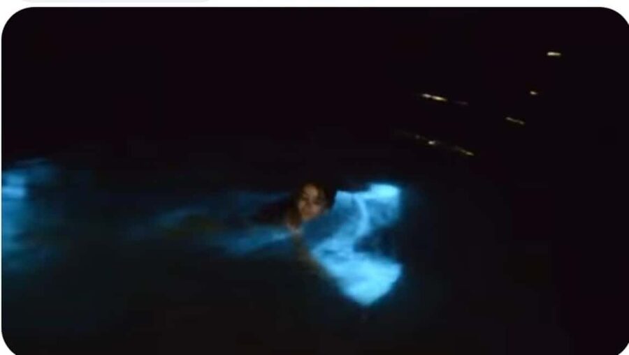 Luminous lagoon : Night Tour from Ocho Rios and Runaway Bay - Why Jamaica’s Luminous Lagoon is special