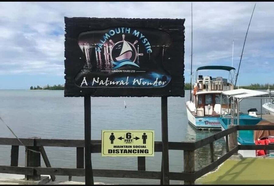 Luminous lagoon : Night Tour from Ocho Rios and Runaway Bay - Watching the water light up